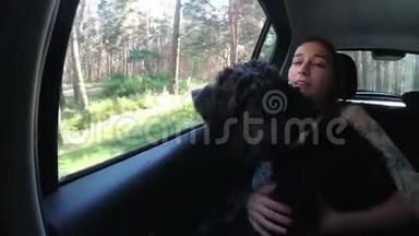 可爱的黑狗从一辆<strong>快速行驶</strong>的汽车的车窗外望向四周，孩子拥抱并支持她。 关闭